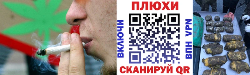 где продают   Николаевск  ГАШ индика сатива 