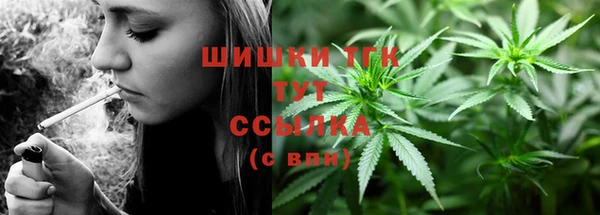 ешки Медногорск