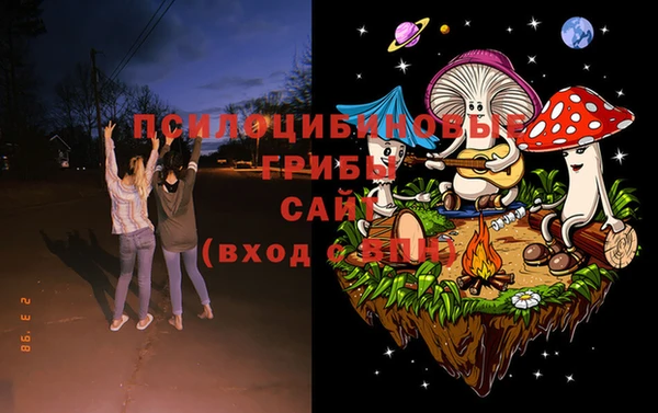 дживик Мегион